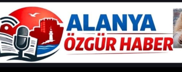 Yorganın Altındaki acı soğuk: Kimin Vekilisiniz?Vekilisiniz