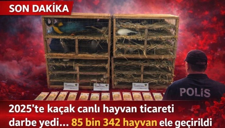 2025’te kaçak canlı hayvan ticareti darbe yedi… 85 bin 342 hayvan ele geçirildi