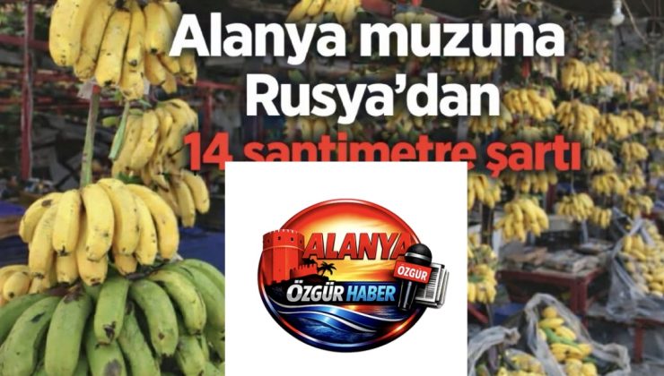 RUSYA’DAN ALANYA MUZUNA 14 SANTİM ŞARTI GELDİ