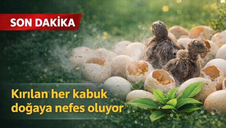 Kırılan her kabuk doğaya nefes oluyor