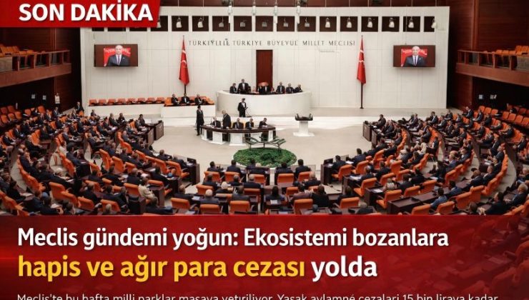 Meclis gündemi yoğun: Ekosistemi bozanlara hapis ve ağır para cezası yolda