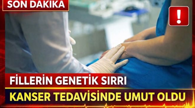 Fillerin Genetik Sırrı Kanser Tedavisinde Umut Oldu