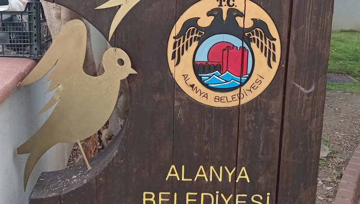 Mahmutlar’da Parkta Tuvalet Sorunu Tepki Çekiyor