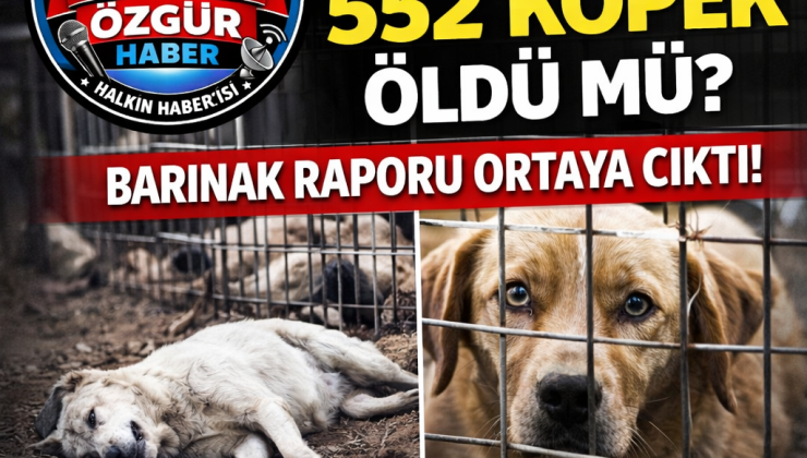 “ALANYA’DA 552 KÖPEK ÖLDÜ MÜ?” “BARINAK RAPORU ORTAYA ÇIKTI!”
