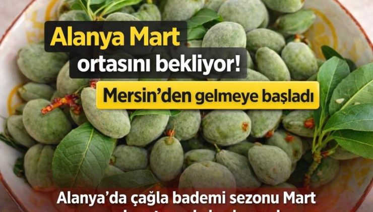 Alanya Mart ortasını bekliyor! Mersin’den gelmeye başladı