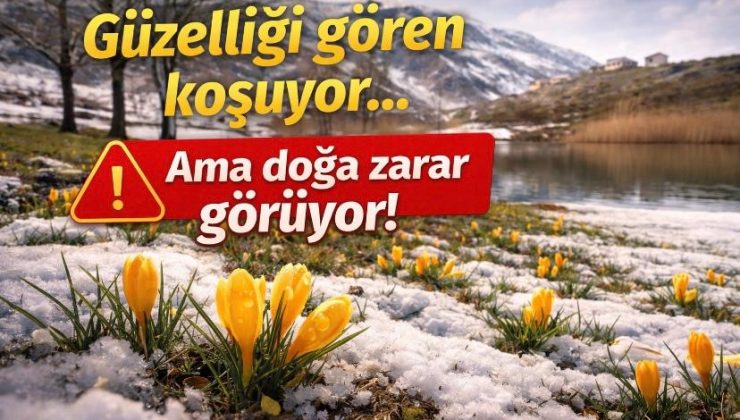 Toroslar’da Bahar Güzelliği: Antalya-Konya Sınırında Doğa Canlandı