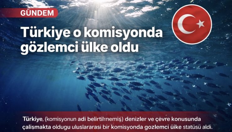 Türkiye o komisyonda gözlemci ülke oldu