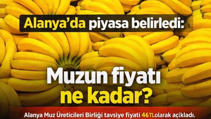 Alanya’da piyasa belirledi: Muzun fiyatı ne kadar?