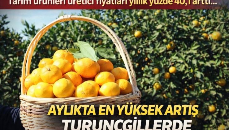 Tarım ürünleri üretici fiyatları yıllık yüzde 40,1 arttı… Aylıkta en yüksek artış turunçgillerdet