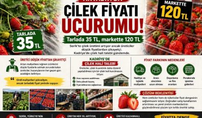 Antalya’da çilek fiyatı uçurumu: Tarlada 35 TL, markette 120 TL