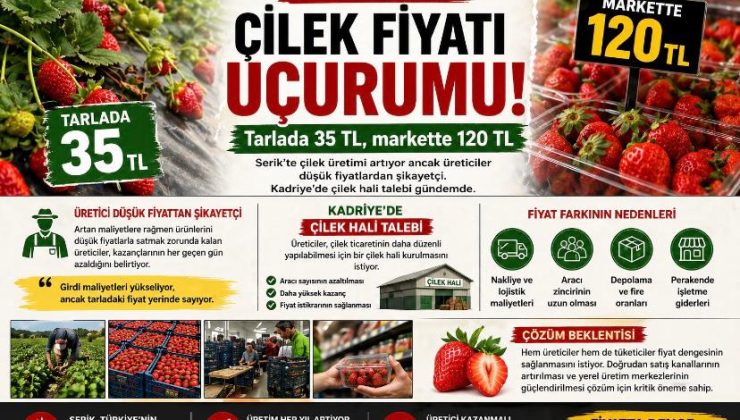 Antalya’da çilek fiyatı uçurumu: Tarlada 35 TL, markette 120 TL