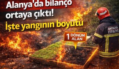 Alanya’da bilanço ortaya çıktı: Yangının boyutunetleştir