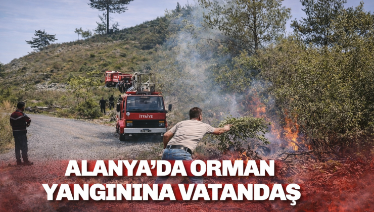 ALANYA’DA ORMAN YANGINI! VATANDAŞLAR SEFERBER OLDU