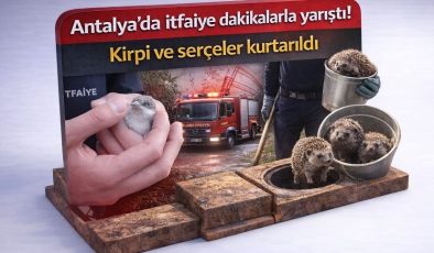 Antalya’da itfaiye dakikalarla yarıştı! Kirpi ve serçeler kurtarıldı