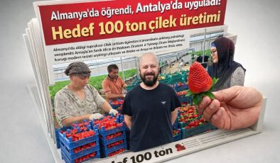 Almanya’da öğrendi, Antalya’da uyguladı: Hedef 100 ton çilek üretimi
