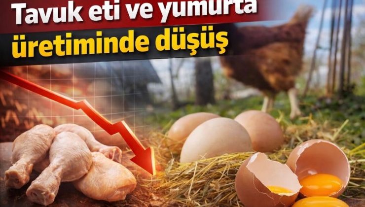 Tavuk eti ve yumurta üretiminde