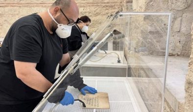 784 bin esere dev koruma hamlesi!