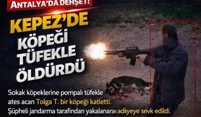 Antalya’da dehşet: Kepez’de köpeği tüfekle öldürdü