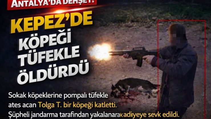 Antalya’da dehşet: Kepez’de köpeği tüfekle öldürdü