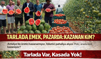 Yerel Üretici Sessiz Krizde: “Tarlada Var, Kasada Yok!
