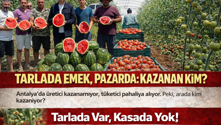 Yerel Üretici Sessiz Krizde: “Tarlada Var, Kasada Yok!