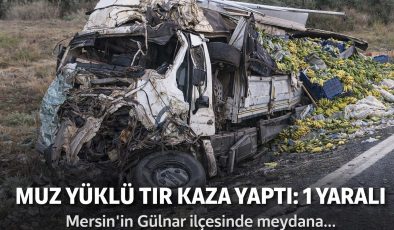 MUZ YÜKLÜ TIR KAZA YAPTI: 1 YARALI