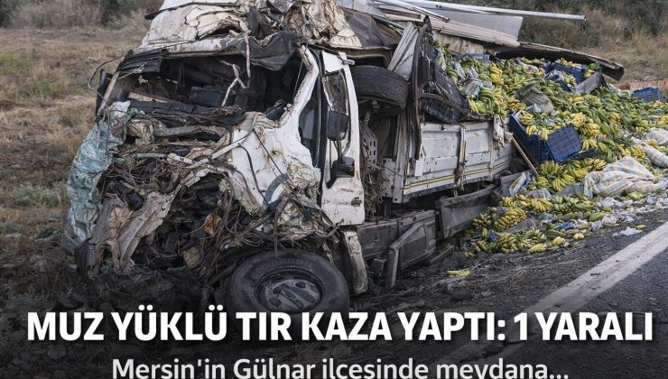 MUZ YÜKLÜ TIR KAZA YAPTI: 1 YARALI