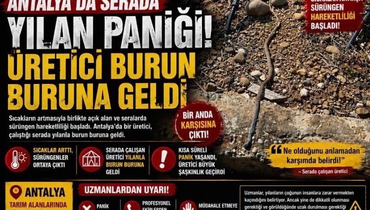 Antalya’da Serada Yılan Paniği: Üretici Burun Buruna Geldi