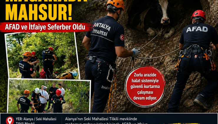 Alanya’da 2 Gündür Mahsur Kalan İnek Kurtarılamadı: Ekipler Çalışmayı Sonlandırdı