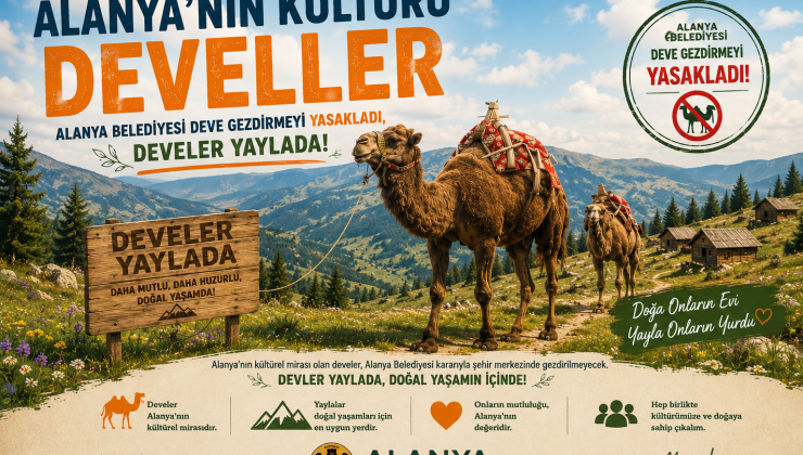 ALANYA’DA DEVE TURİZMİ YASAKLANDI, DEVELER YAYLALARA ÇEKİLDİ