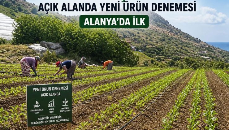 Alanya Yeşilöz Mahallesi’nde Açık Alanda Yeni Ürün Yetiştirme Denemesi