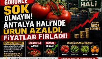 Görünce Şok Olmayın! Antalya Hali’nde Ürün Azaldı, Fiyatlar Fırladı