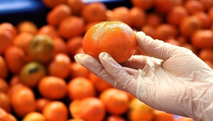 Mersin, turunçgil ihracatında zirvede yer aldı