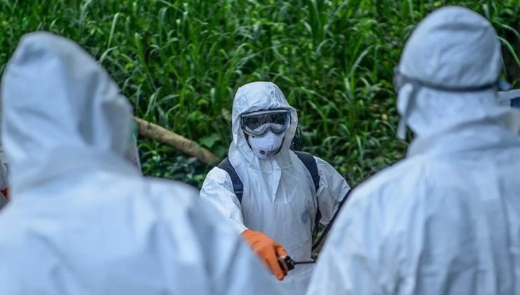 Ölü sayısı 139’a ulaştı, virüs giderek yayılıyor! Ebola krizi büyüyor