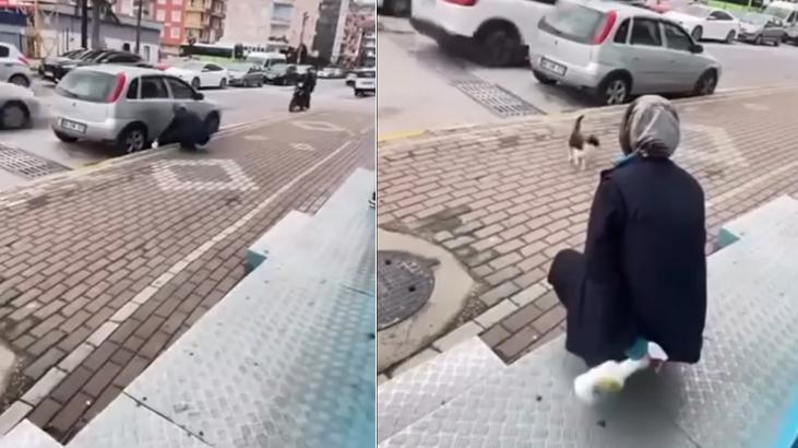 Sokak kedisine işkence! ‘Gel annem gel’ diyerek çağırdıktan sonra yaptığı kan dondurdu