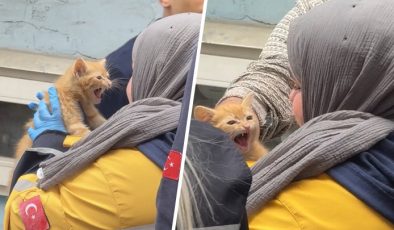 Yangında evde mahsur kalan yavru kedi kurtarıldı