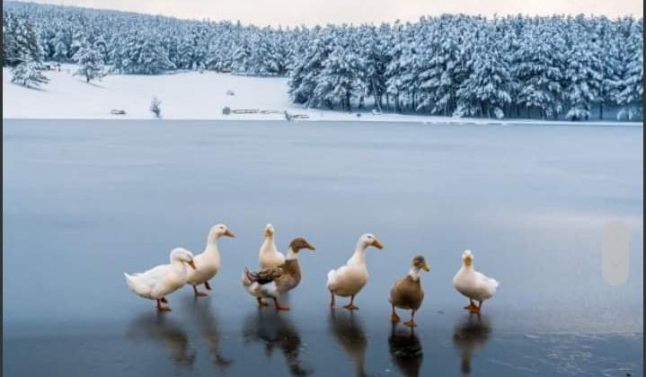 Akdağ Tokalı Kanyonu Turizme Açılıyor