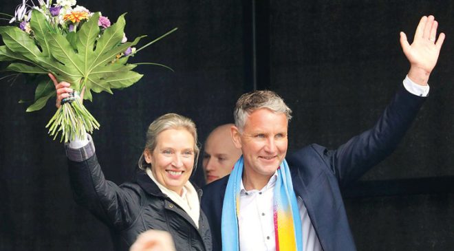 AfD’den ırkçı çağrı: ‘Almanya’da Türklerin sayısı azaltılmalı’