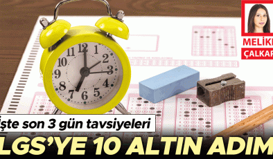LGS’ye 10 altın adım