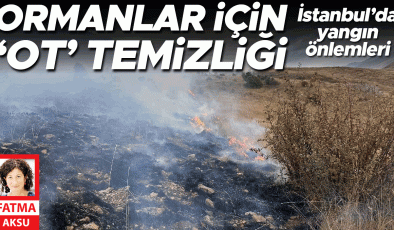 Ormanlar için ‘ot’ temizliği
