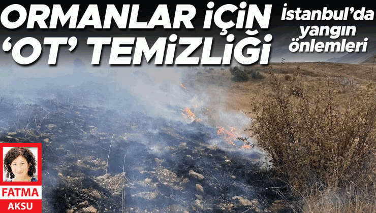 Ormanlar için ‘ot’ temizliği