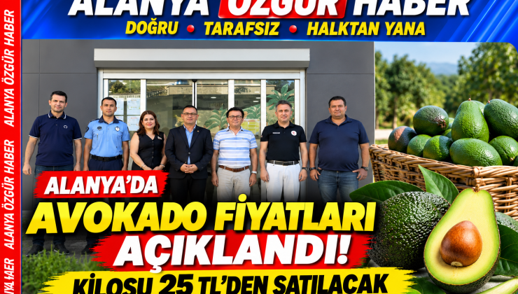 Alanya’da avokado için tavsiye fiyatları açıklandı25 tl